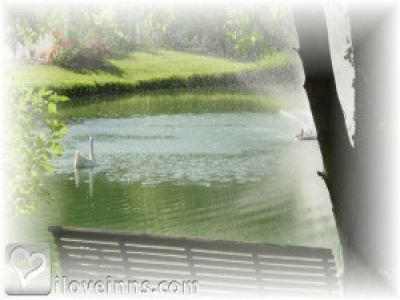 Pic 01