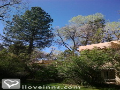 Pic 01