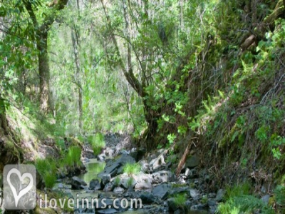 Pic 01