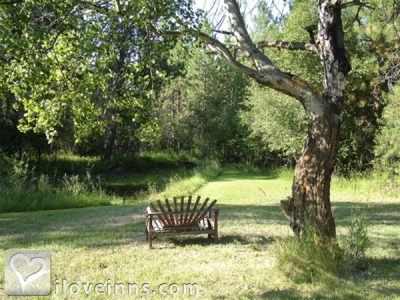 Pic 01