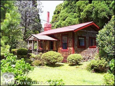 Pic 01
