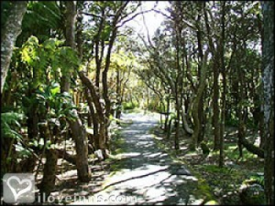 Pic 01