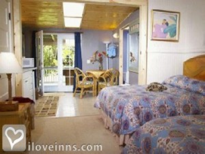 Pic 01