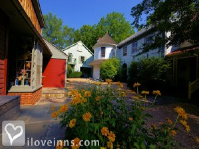 Pic 01