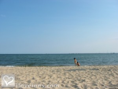 Pic 01