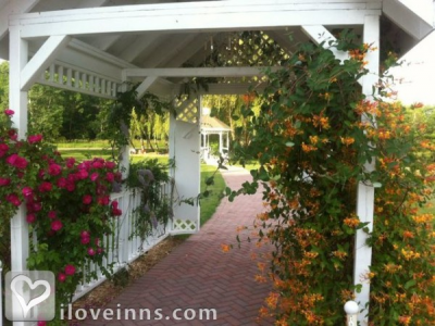 Pic 01