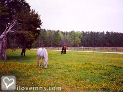 Pic 01